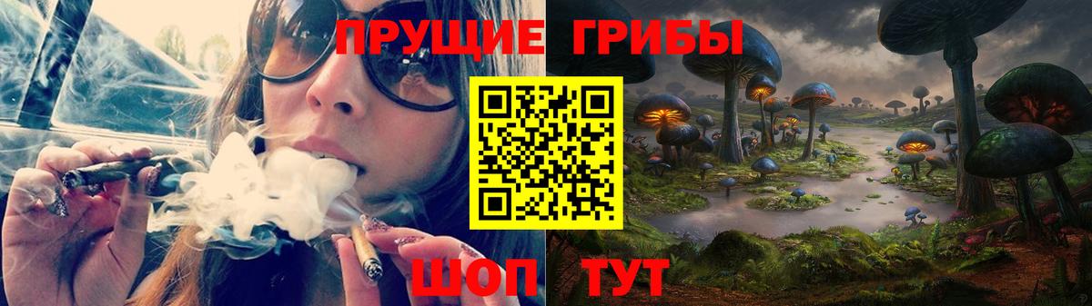 сколько стоит  Вход с VPN  Псилоцибиновые грибы MAGIC MUSHROOMS  Малоярославец  Галлюциногенные грибы Psilocybe 