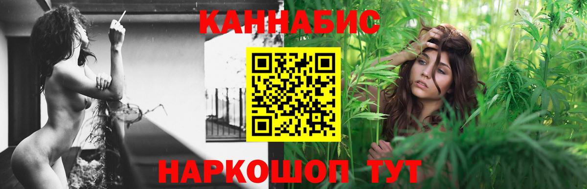 Конопля OG Kush Малоярославец